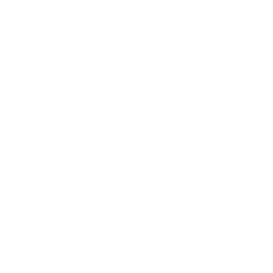 Diego Navarro Logo (dark)